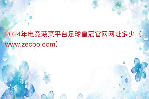 2024年电竞菠菜平台足球皇冠官网网址多少（www.zecbo.com）